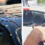 Los pájaros ya no se cagan en los coches: esto