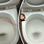 Un producto blanqueará la taza del váter hasta dejarla reluciente: